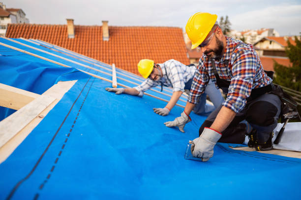 Best Commercial Roofing Services  in St Joseph, MI
